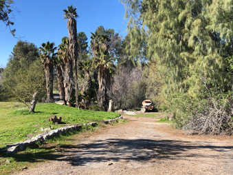 Enlarge photo 9