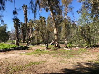 Enlarge photo 19