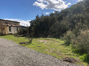 Enlarge photo 17