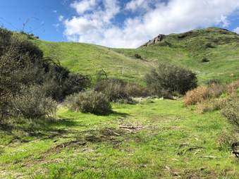 Enlarge photo 18