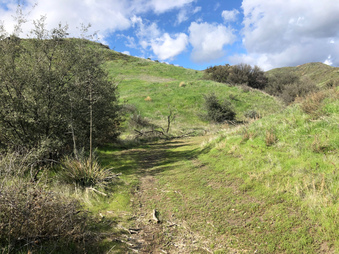 Enlarge photo 19