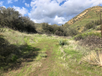 Enlarge photo 22