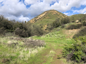 Enlarge photo 23