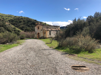 Enlarge photo 30
