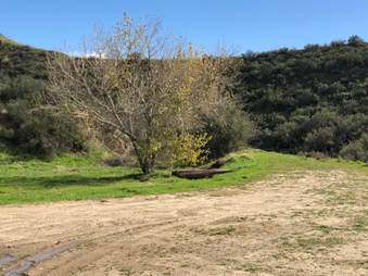 Enlarge photo 34