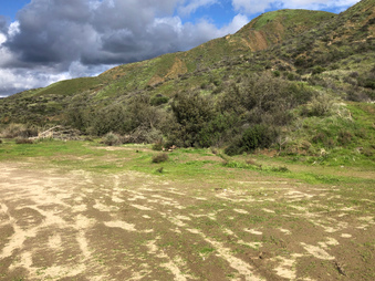 Enlarge photo 37