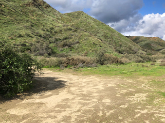 Enlarge photo 38