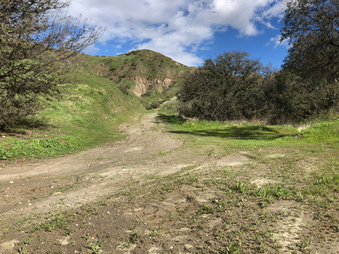 Enlarge photo 46
