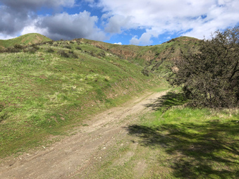 Enlarge photo 48