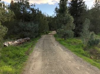 Enlarge photo 1