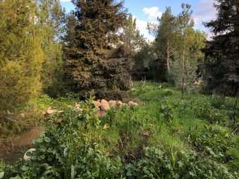 Enlarge photo 3