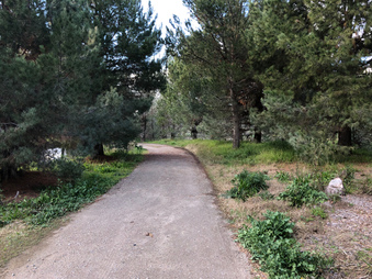Enlarge photo 4