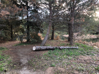 Enlarge photo 6