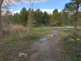 Enlarge photo 7