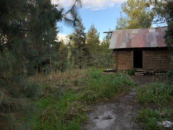 Enlarge photo 15