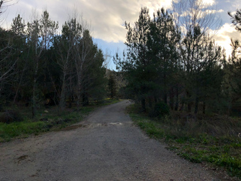 Enlarge photo 16