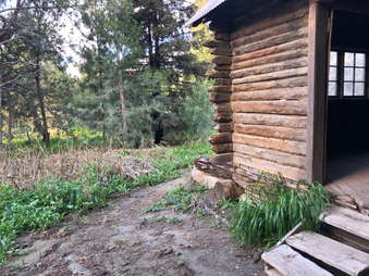 Enlarge photo 21