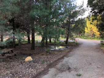 Enlarge photo 23
