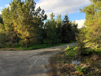 Enlarge photo 24