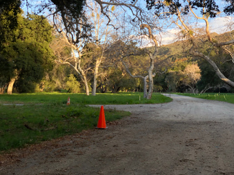 Enlarge photo 31