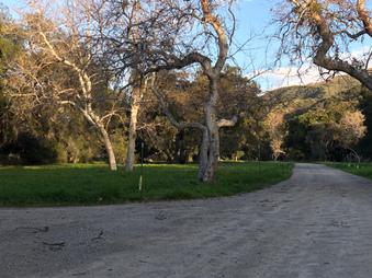 Enlarge photo 32