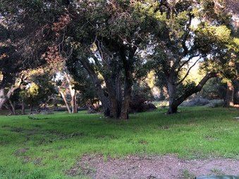 Enlarge photo 46