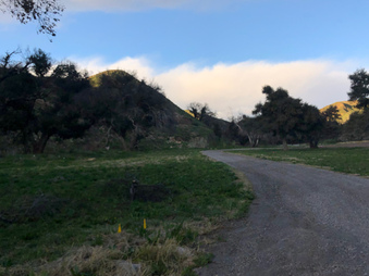 Enlarge photo 81
