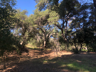 Enlarge photo 48