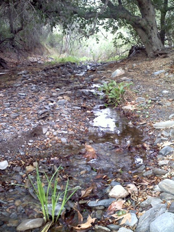 Enlarge photo 17