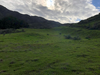 Enlarge photo 27