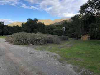 Enlarge photo 29