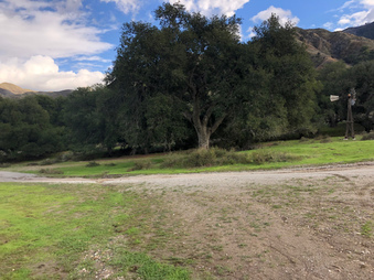 Enlarge photo 31