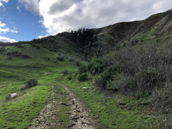 Enlarge photo 32