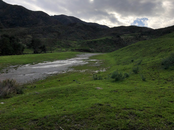 Enlarge photo 34