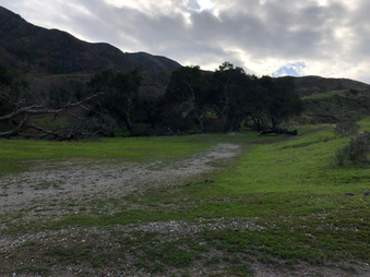 Enlarge photo 36