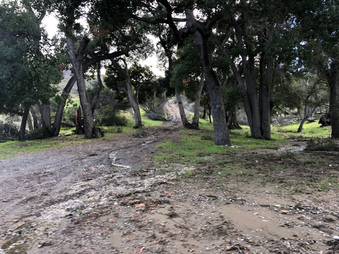 Enlarge photo 37