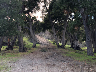 Enlarge photo 38