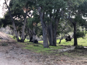 Enlarge photo 39