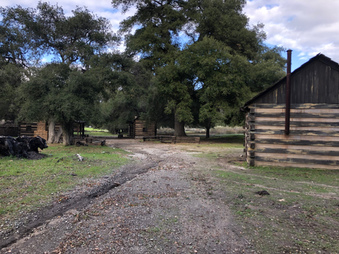 Enlarge photo 41