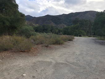 Enlarge photo 46