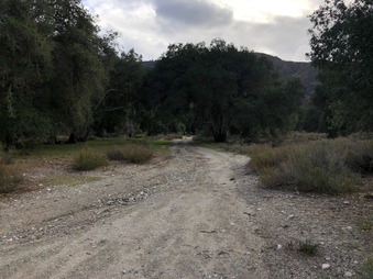 Enlarge photo 47
