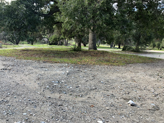 Enlarge photo 49