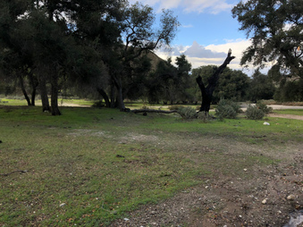 Enlarge photo 51