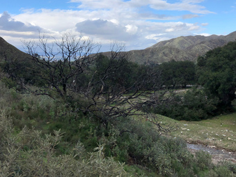 Enlarge photo 53