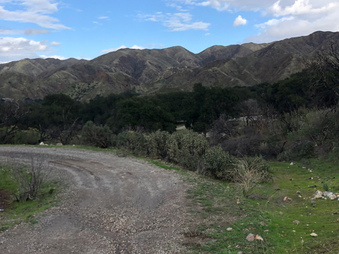 Enlarge photo 56