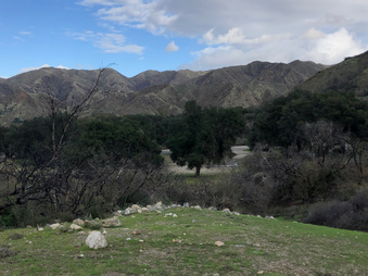 Enlarge photo 57