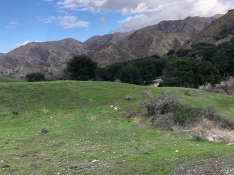 Enlarge photo 58