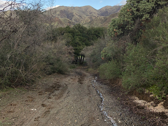 Enlarge photo 62