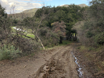 Enlarge photo 63