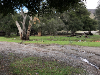 Enlarge photo 66